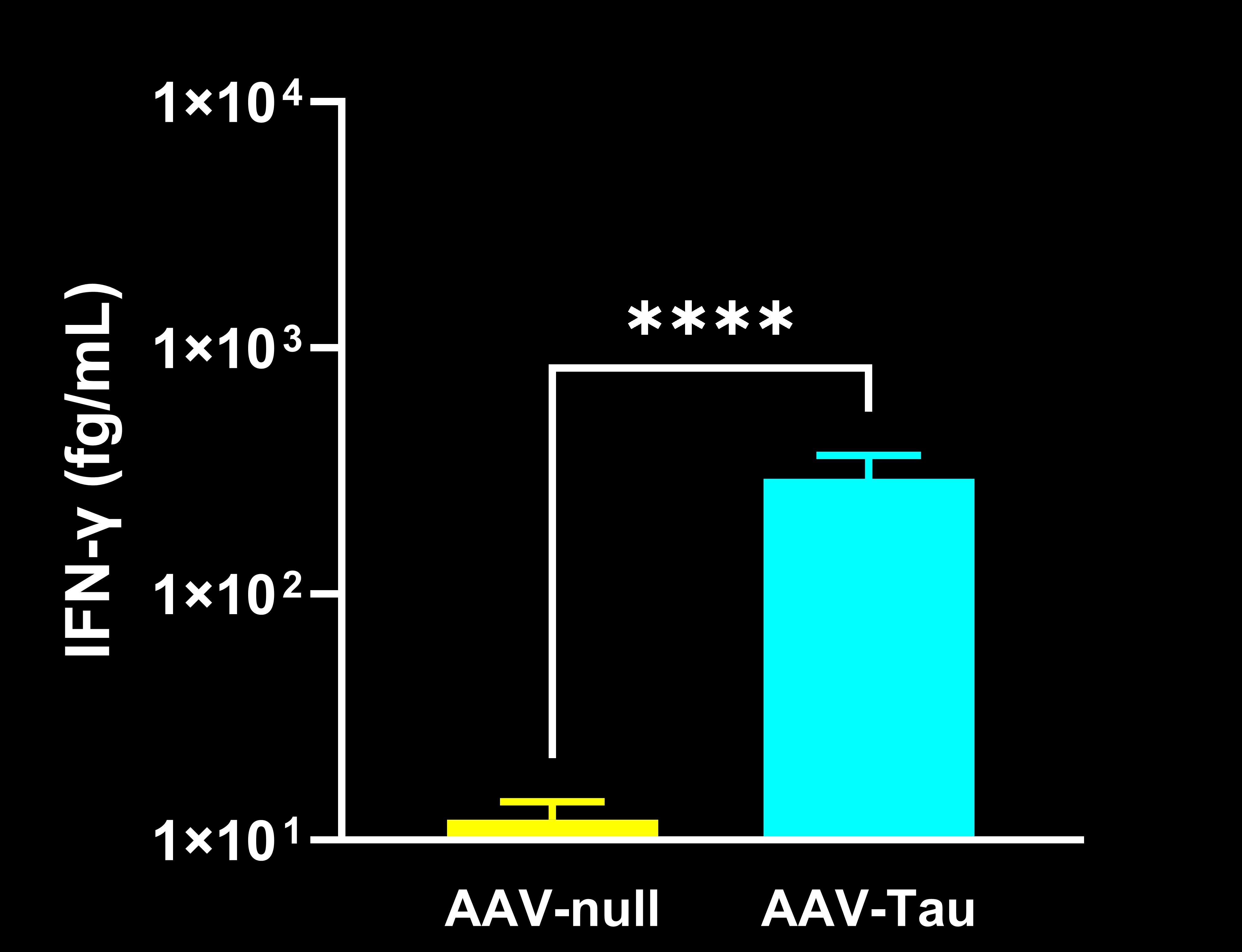 IFN-γ in the Midbrain