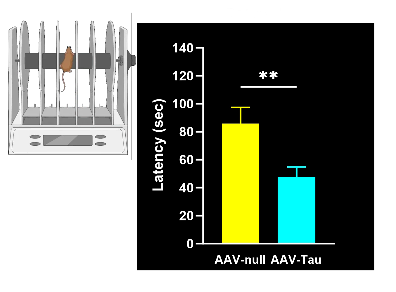 旋转木马测试结果