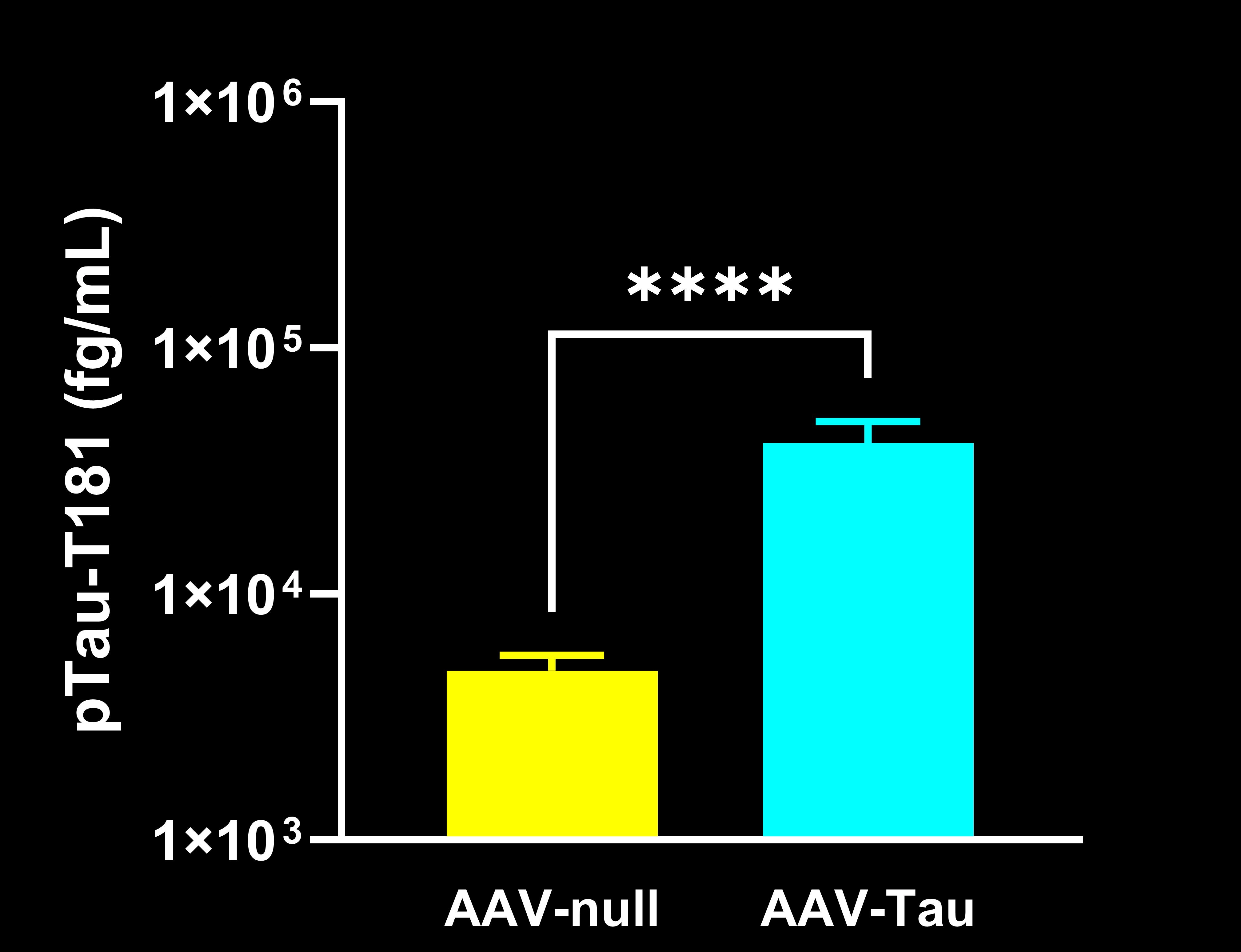 Plasma pTau-181 Concentrations