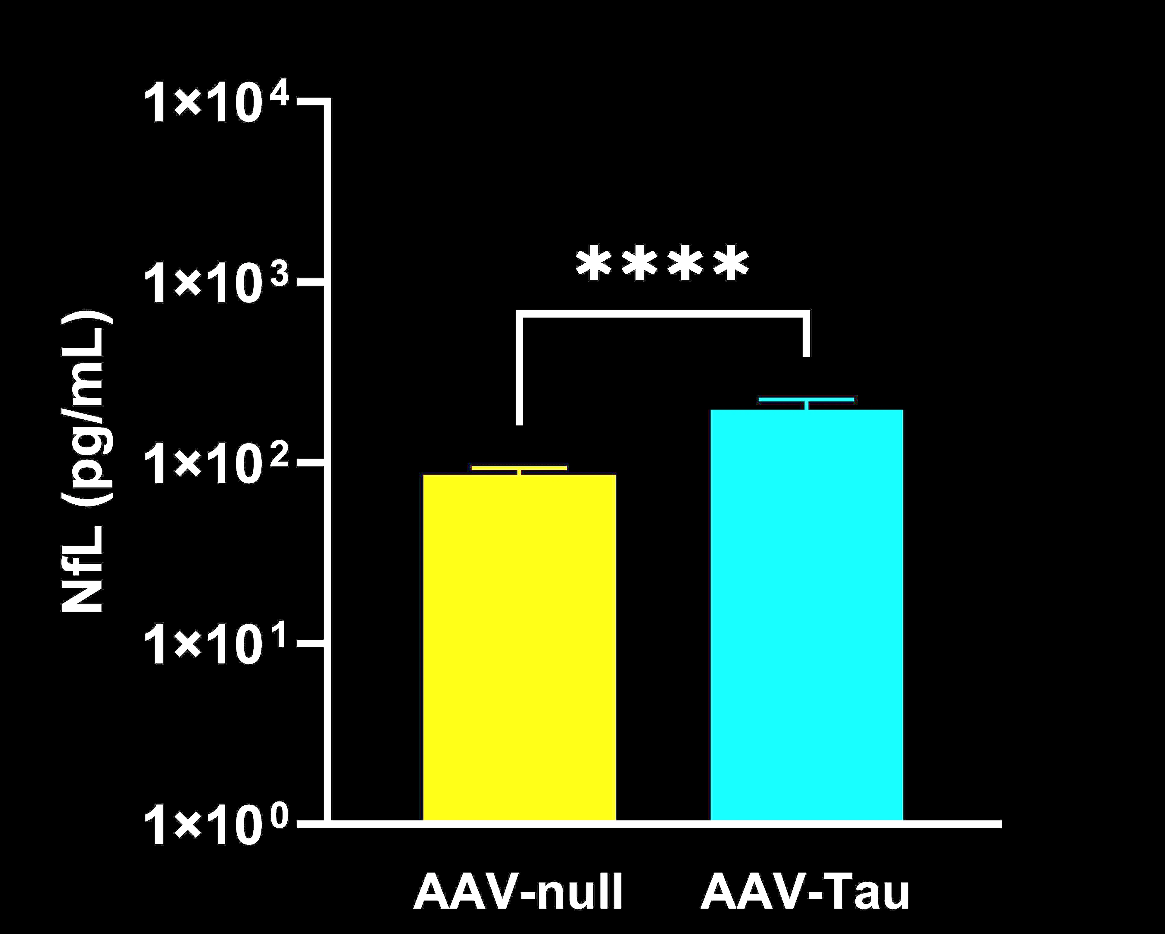Plasma NfL concentrations in AAV-Tau vs. AAV-null