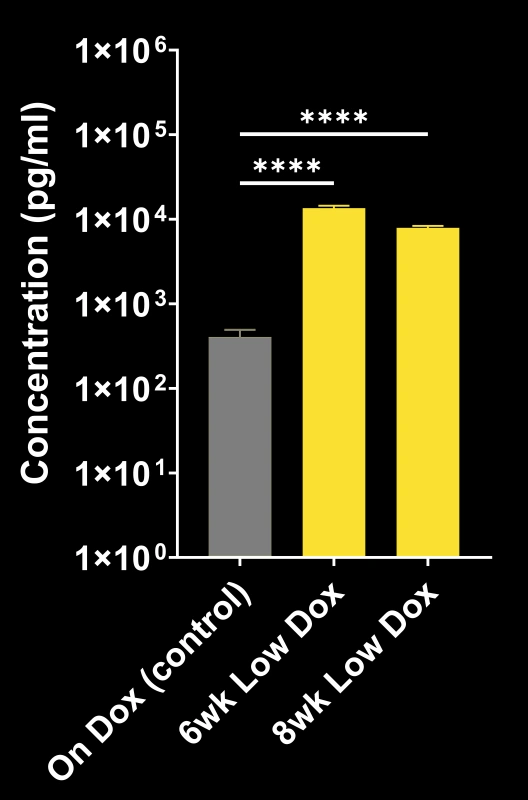 CSF NF-L concentrations in  On Dox vs. Low Dox TDP-43ΔNLS mice. 