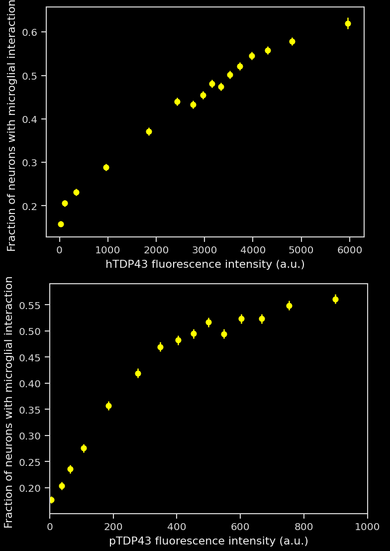 Graph showing the fraction of neurons with microglial interaction increases with the hTDP-43 and pTDP-43 fluorescence intensity in cells across the midbrain and SN of the AAV-TDP-43 injected animals