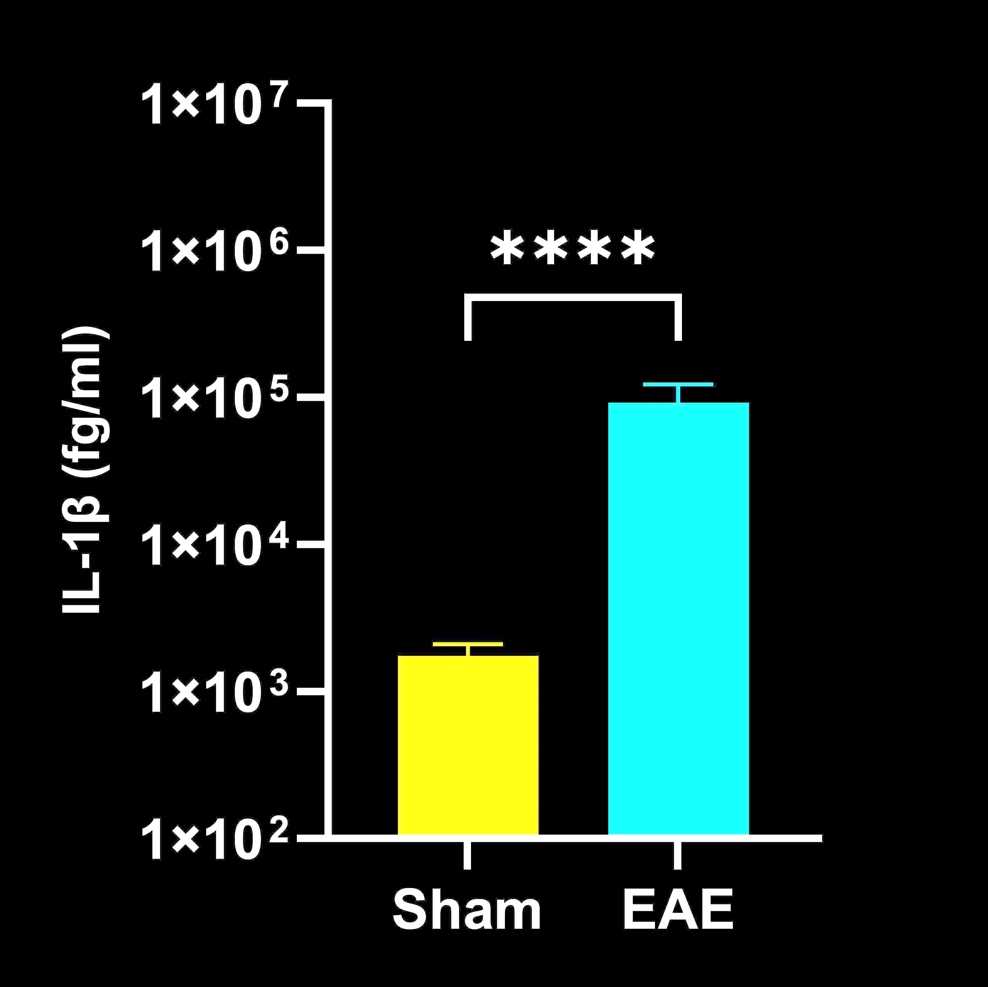 Spinal cord homogenate IL-1β concentrations in EAE vs. sham