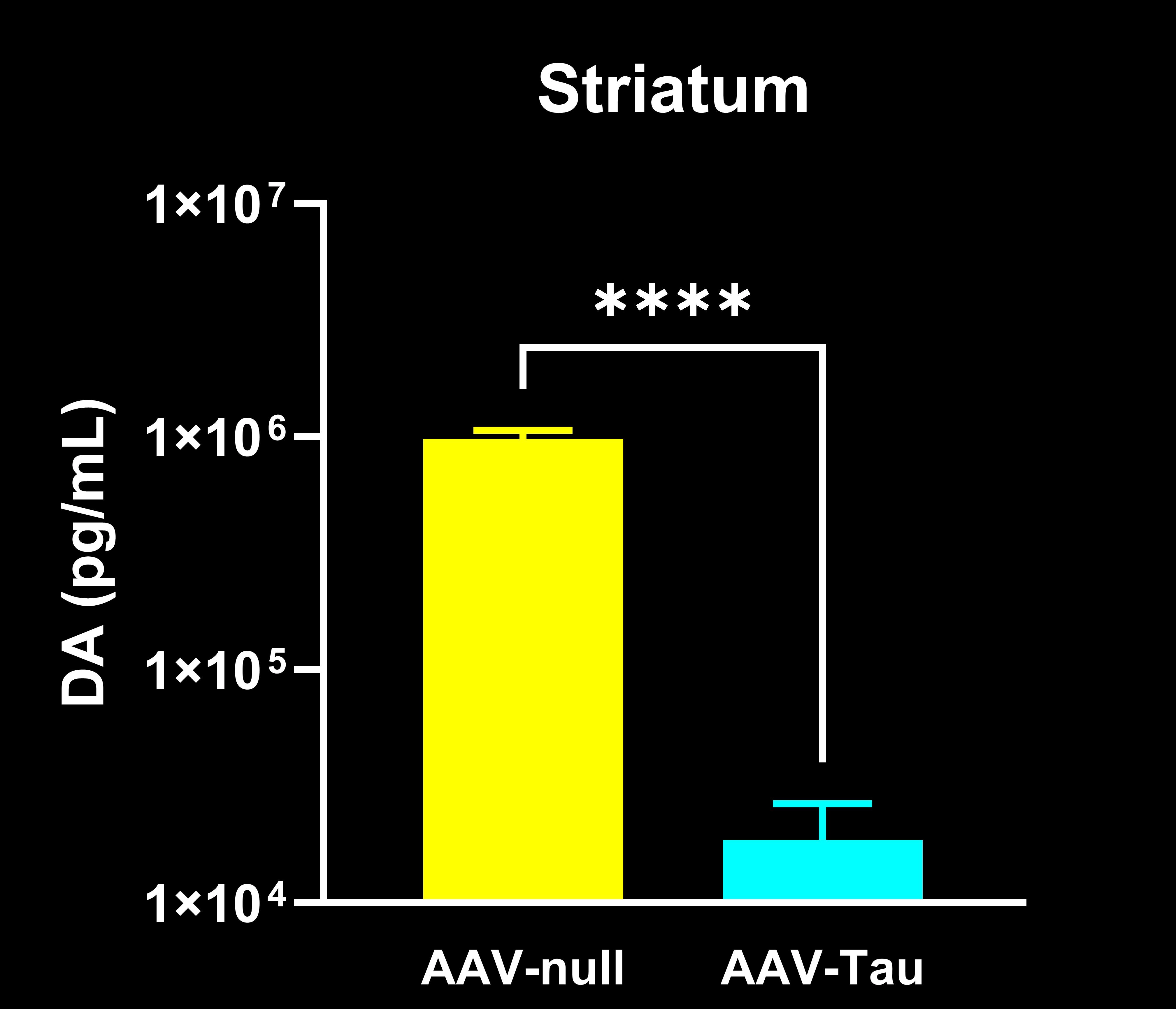 Dopamine ELISA Results