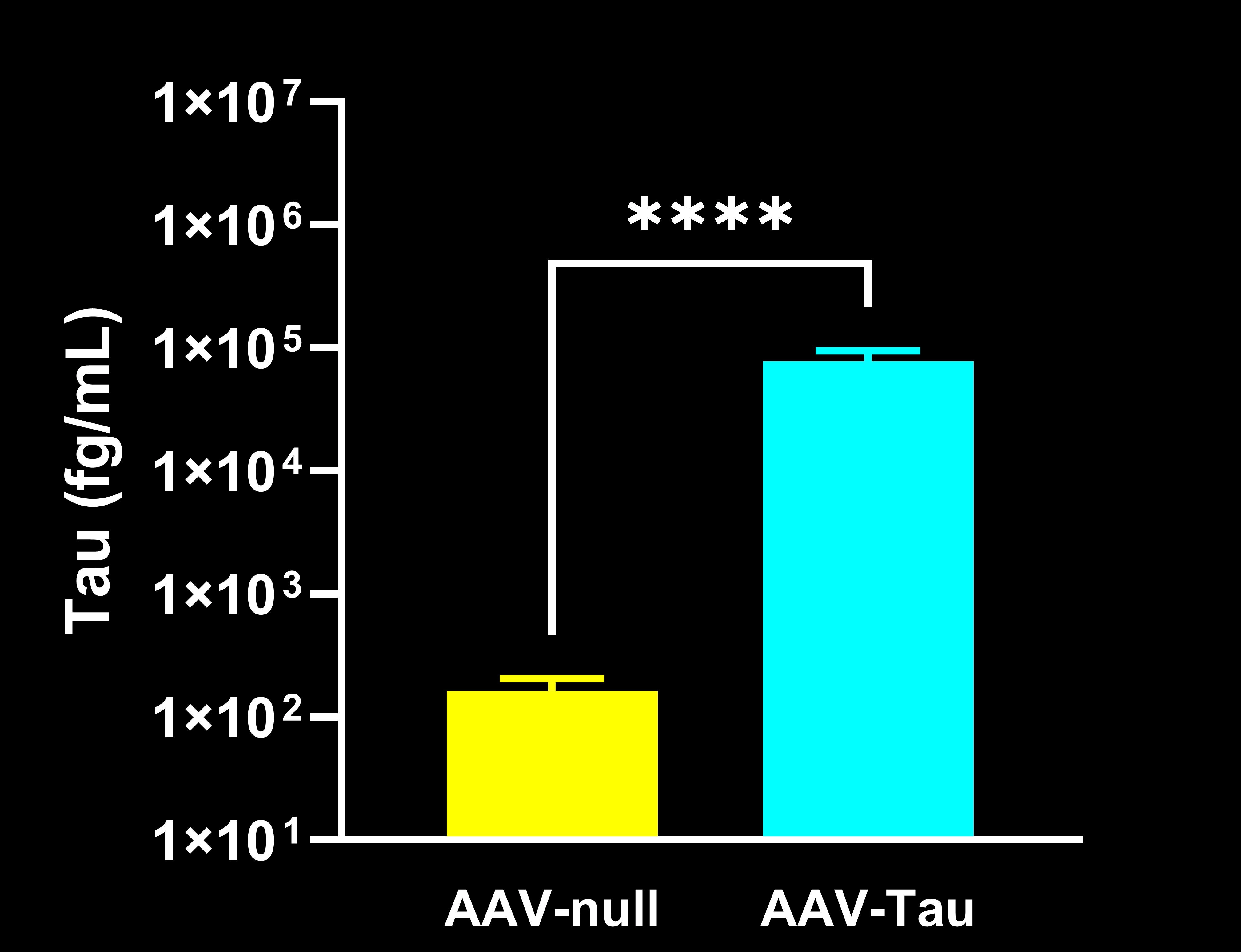 Plasma Tau Concentrations