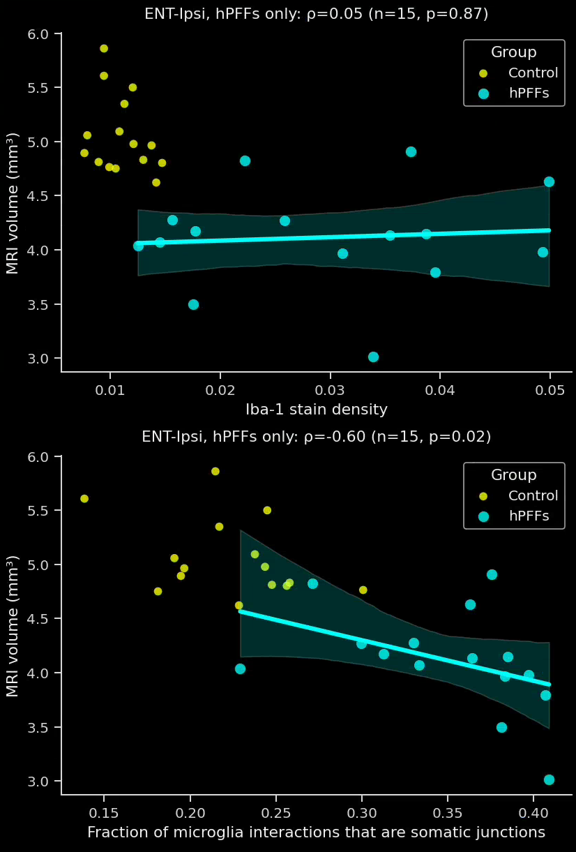 Plots showing the correlation between the MRI brain volume and the Iba-1 stain density and the fraction of interactions that are microglia to neuronal soma in the ipsilateral entorhinal cortex.