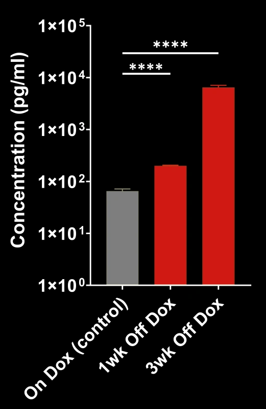 Plasma NF-L concentrations in On Dox vs. Off Dox TDP-43ΔNLS mice