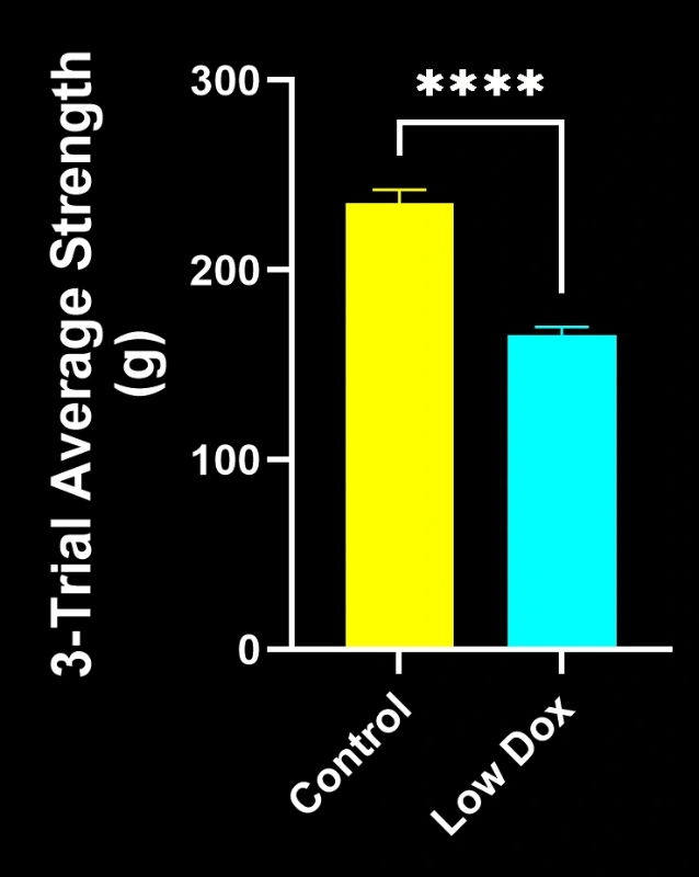 A graph showing the difference in grip strength between Low Dox and control mice