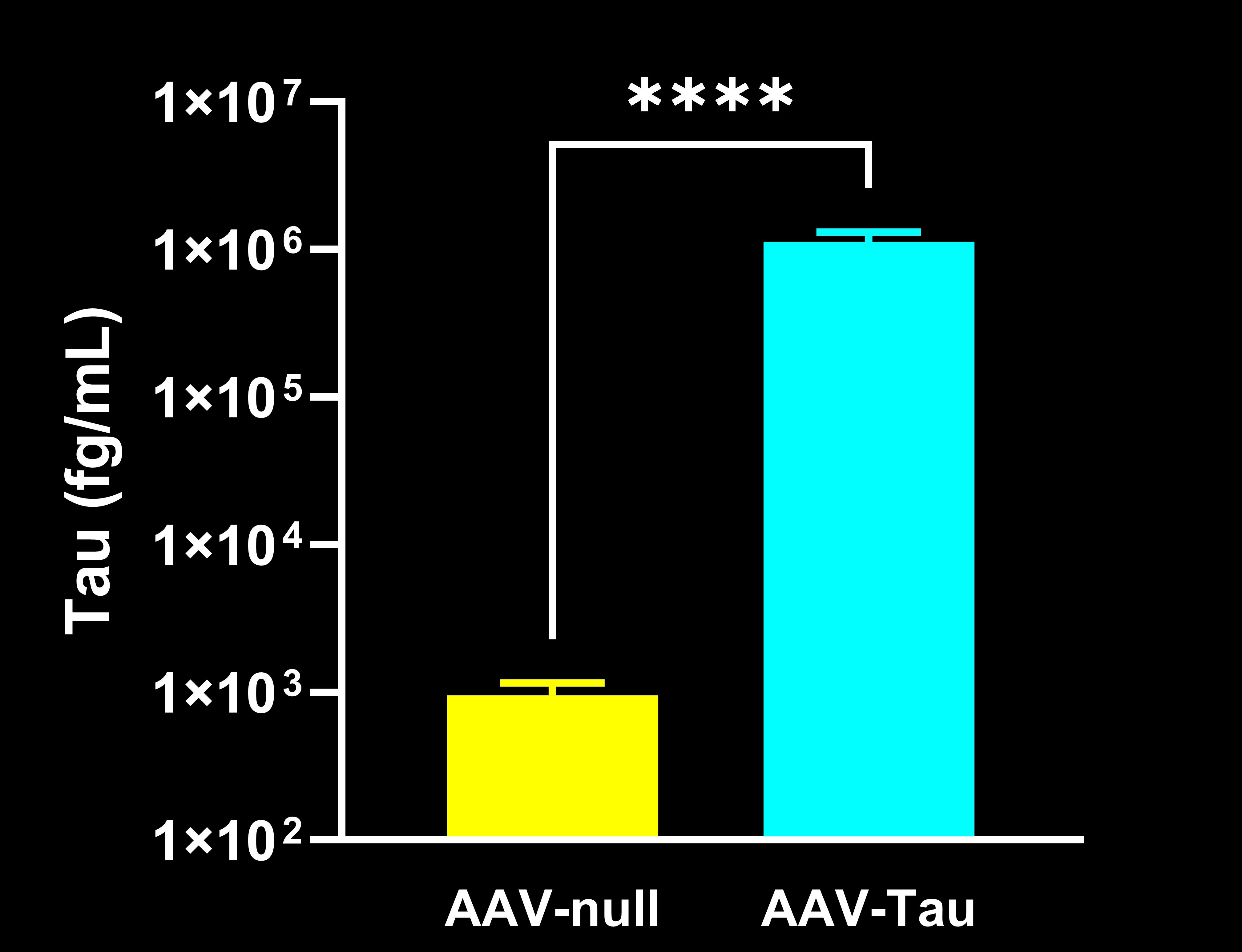 CSF Tau Concentrations