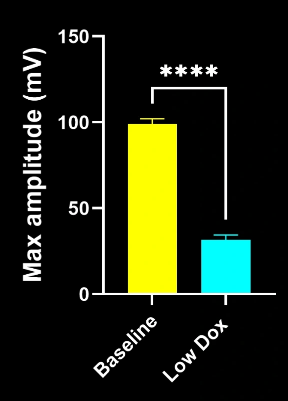 A graph showing the difference in CMAP maximum amplitude in Low Dox mice at 10 weeks following model induction