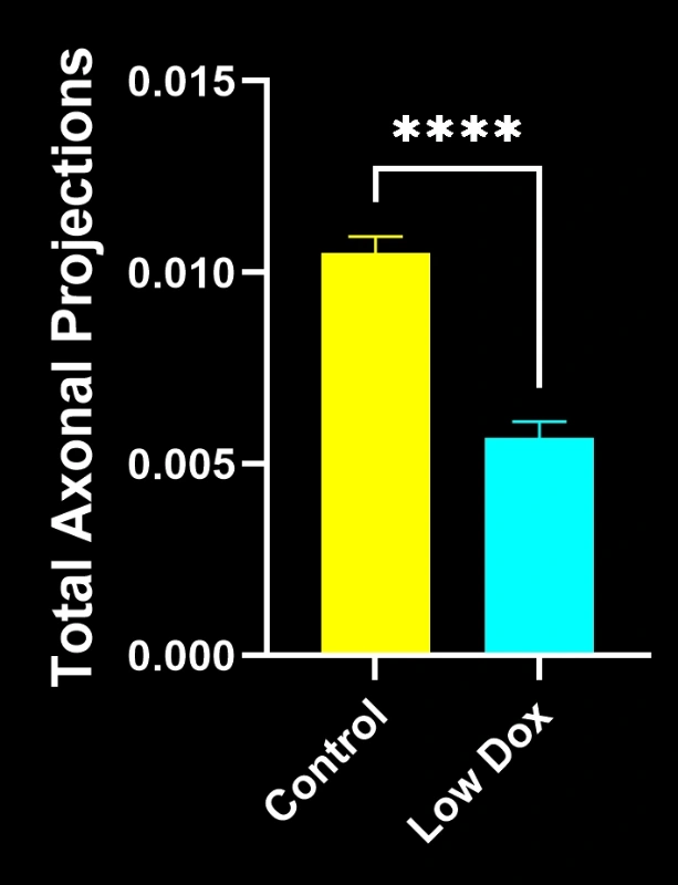 A graph showing the difference in total axonal projections between Low Dox and control mice