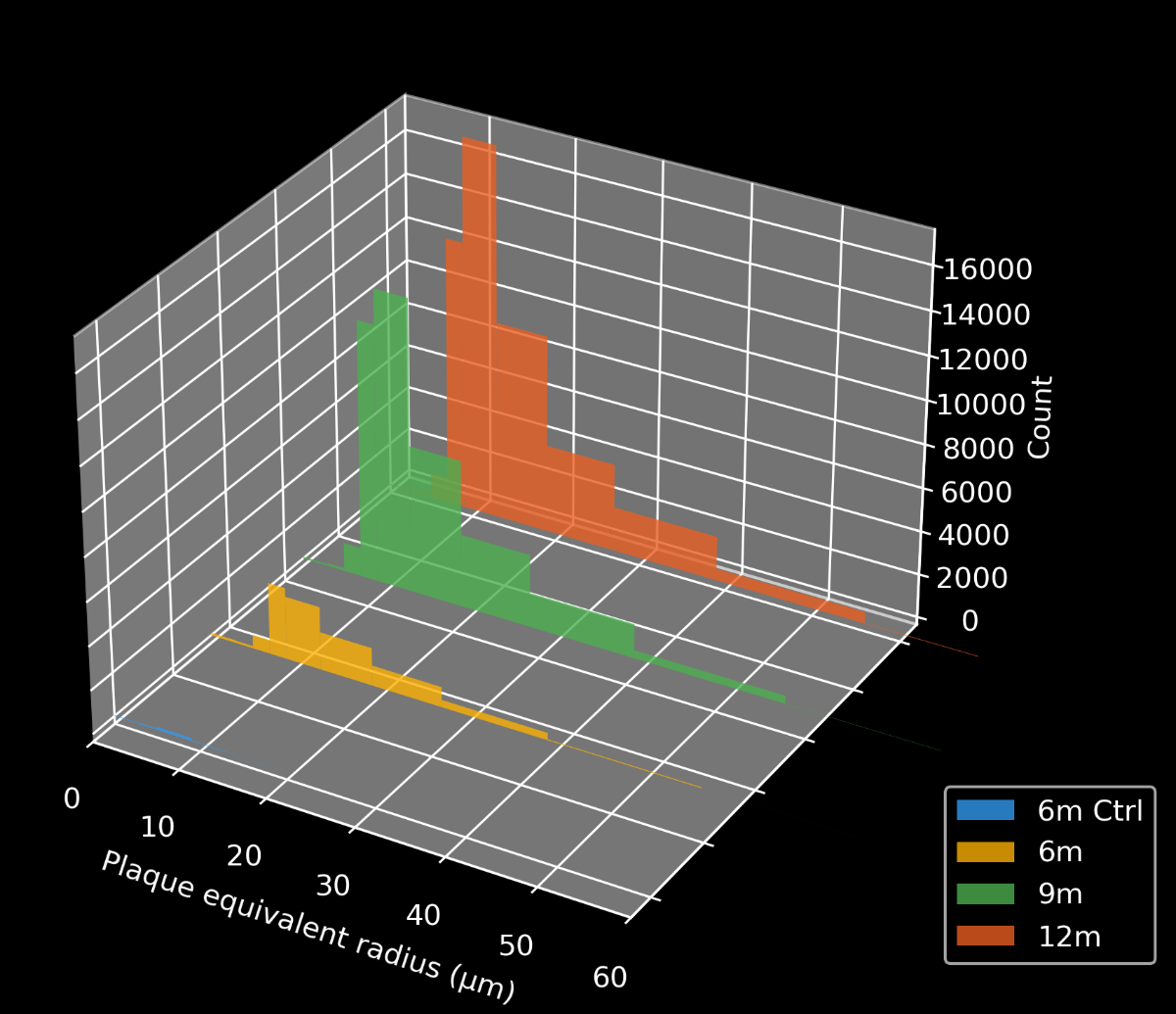Histogram of plaque size in the different age groups, showing a progressive increase in the number of plaques with age