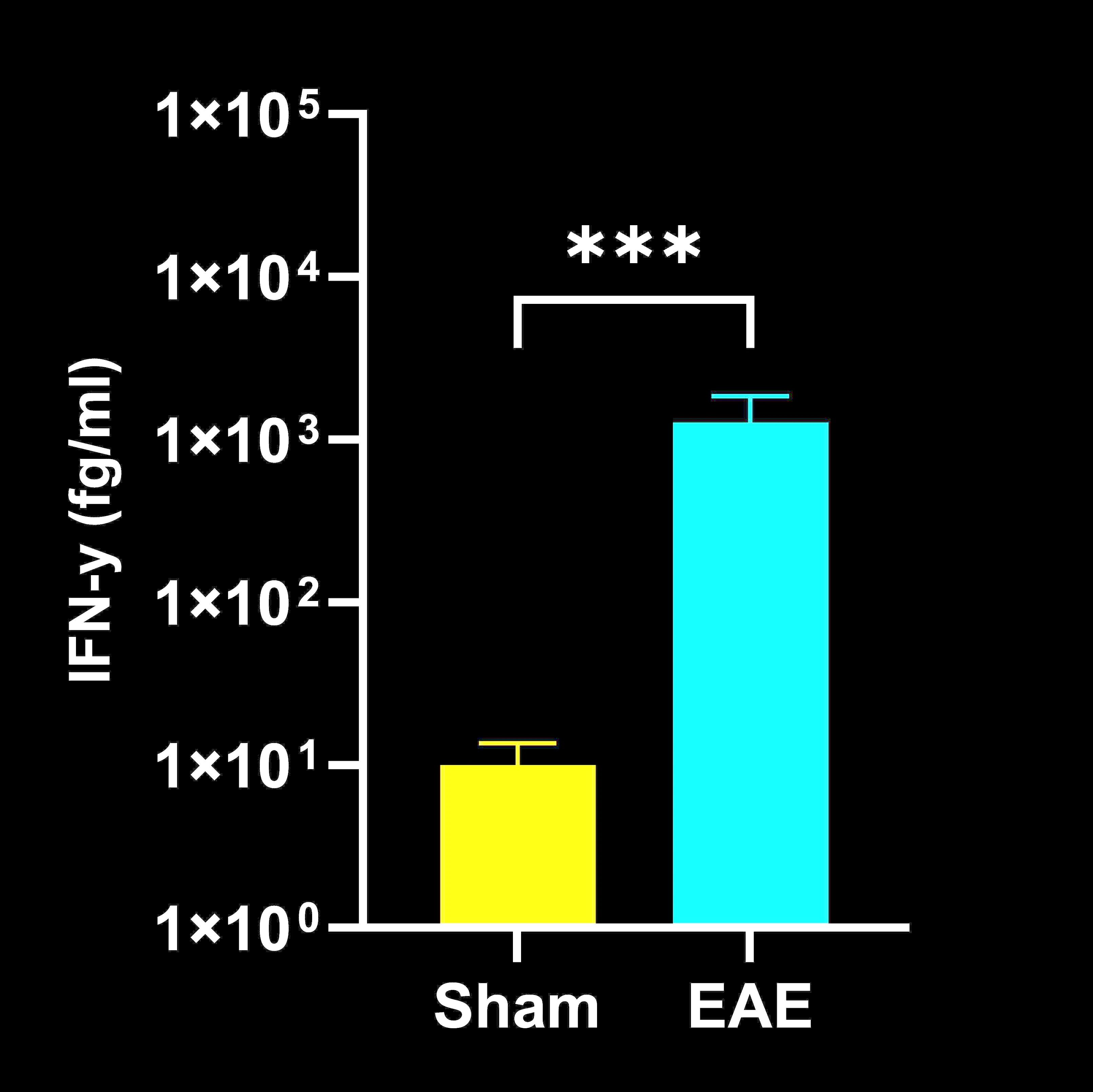 Spinal cord homogenate IFN-γ concentrations in EAE vs. sham