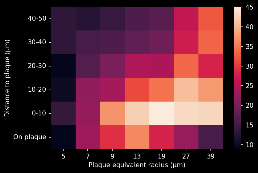 Heatmap of reactive astrocytes density as a function of the distance to the plaques and plaque size, showing that microglia can be found in small plaques and that the density plateaus in large plaques