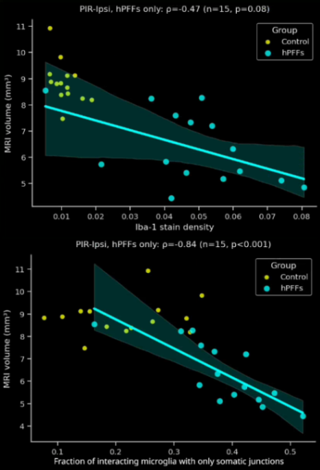 Plots showing the correlation between the MRI brain volume and the Iba-1 stain density and the fraction of interacting microglia with only microglial process to neuronal soma interactions in the ipsilateral piriform cortex.